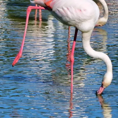 Au Couchant Apartment *